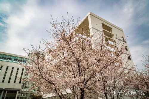 苏州工业职业技术学院江苏省内招生计划